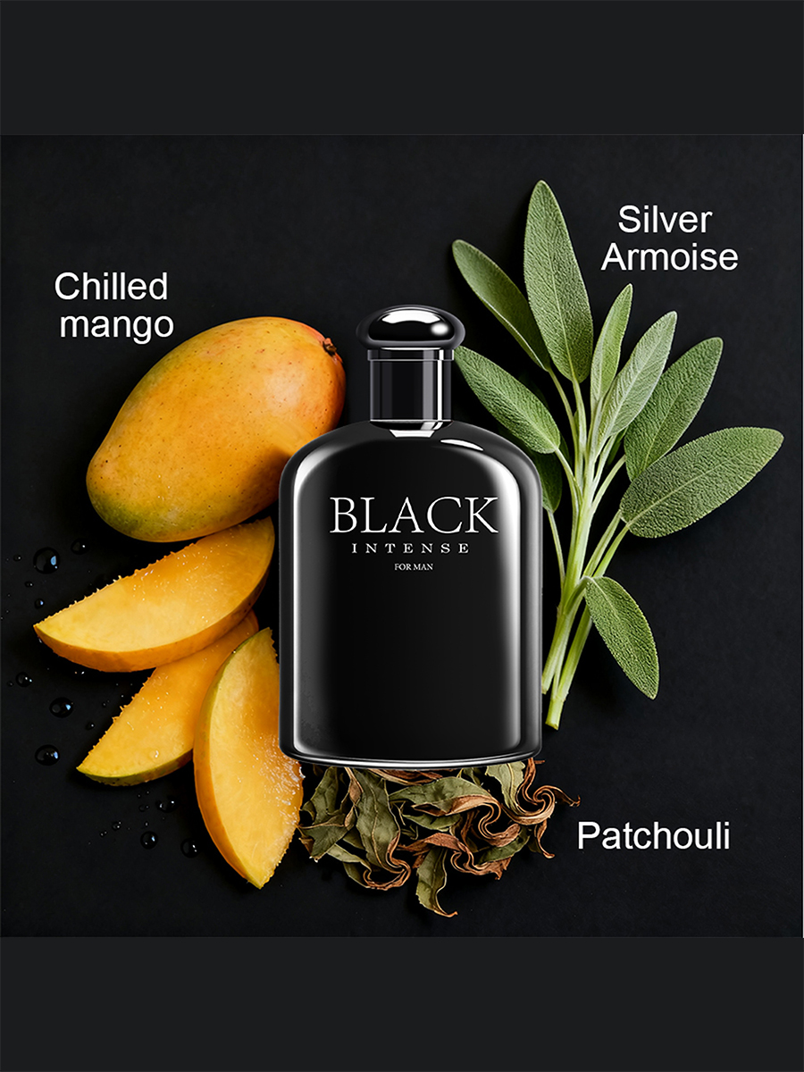 2PACK/200ML Men's Cologne Set  – обзор и цена Perfume Fragrance Gift Set